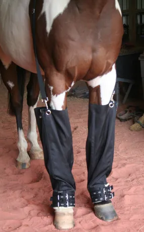 Roma Full Ice Boots for Horses, pair